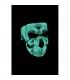 ZAN VOLLGESICHTSMASKE GLOW-IN-THE-DARK SKULL ONE SIZE