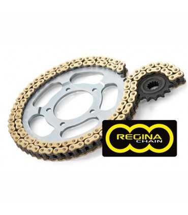 Regina Chain kit Ducati Multistrada 1200 (2010-17)