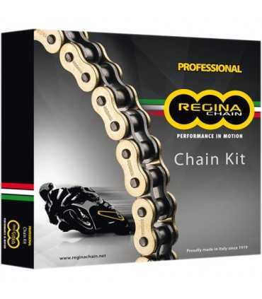 Regina Chain kit Ducati Multistrada 1200 (2010-17)