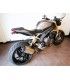 V Parts portatarga Triumph Speed Triple 1200 RS (2021-22)