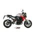 Mivv Delta Race BMW F 900 R (2020-23)