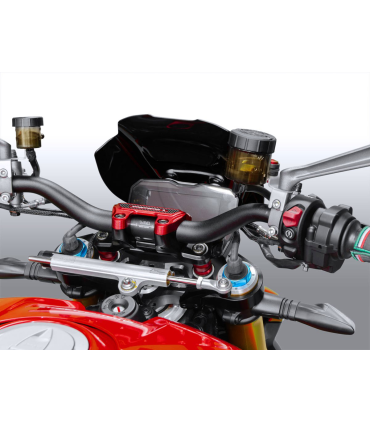 WRS cupolino Sport Ducati Streetfighter V4/S (2020-23)